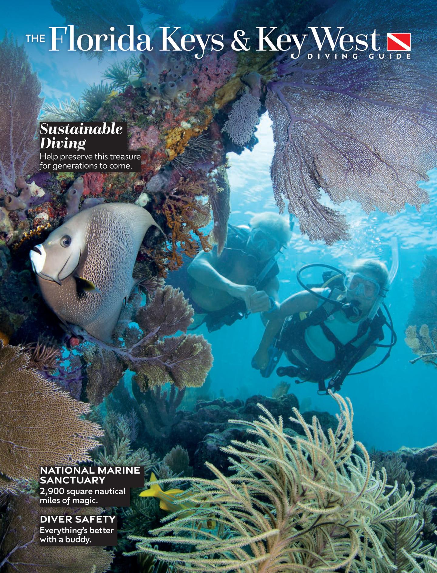 Scuba divers explore a vibrant coral reef with a fish swimming nearby.