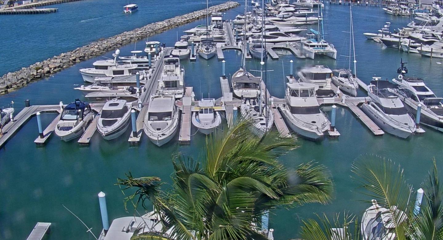 Boats docked in a marina with clear blue water and palm trees.