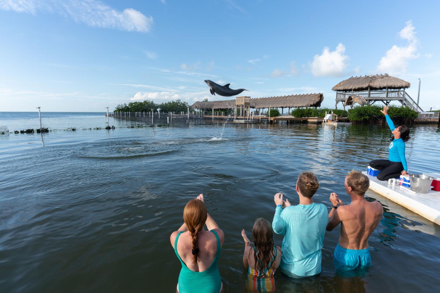Group watches dolphin leaping from water in coastal setting.