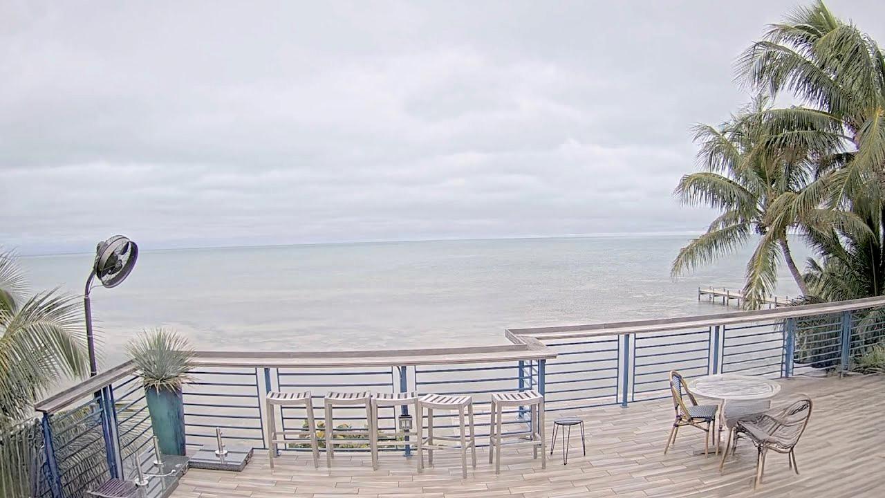 Deck overlooking the ocean on an overcast day, with palm trees and patio furniture.