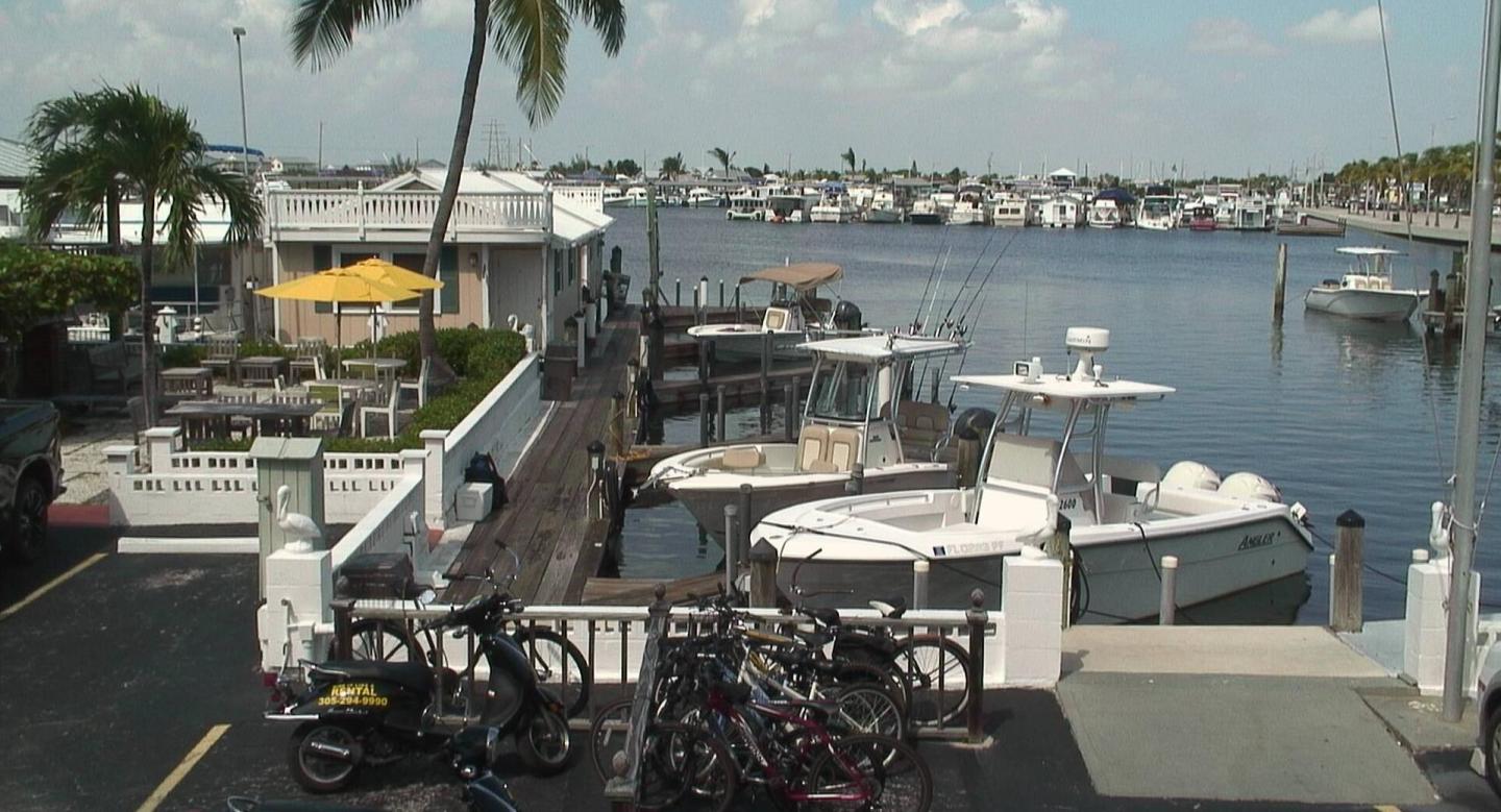 Bikes parked near a dock with boats, palm trees, and a cloudy sky in the background.
