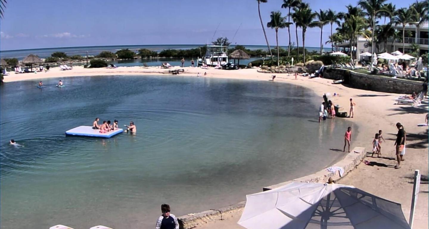 Beach with calm lagoon, people swimming, and palm trees under a clear blue sky.