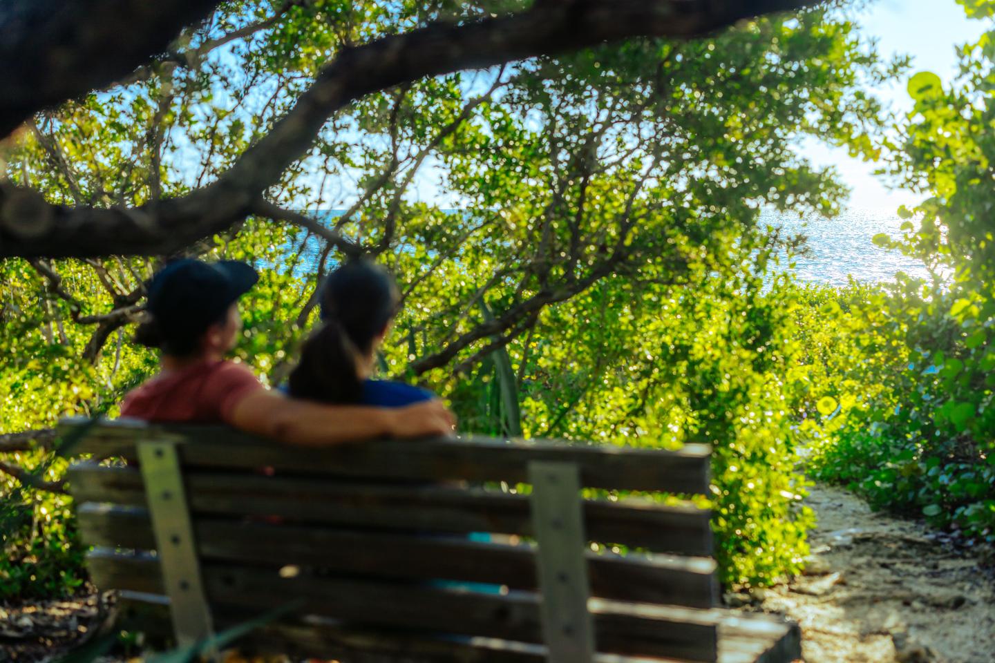 Couple on a bench in a sunny, leafy park setting.