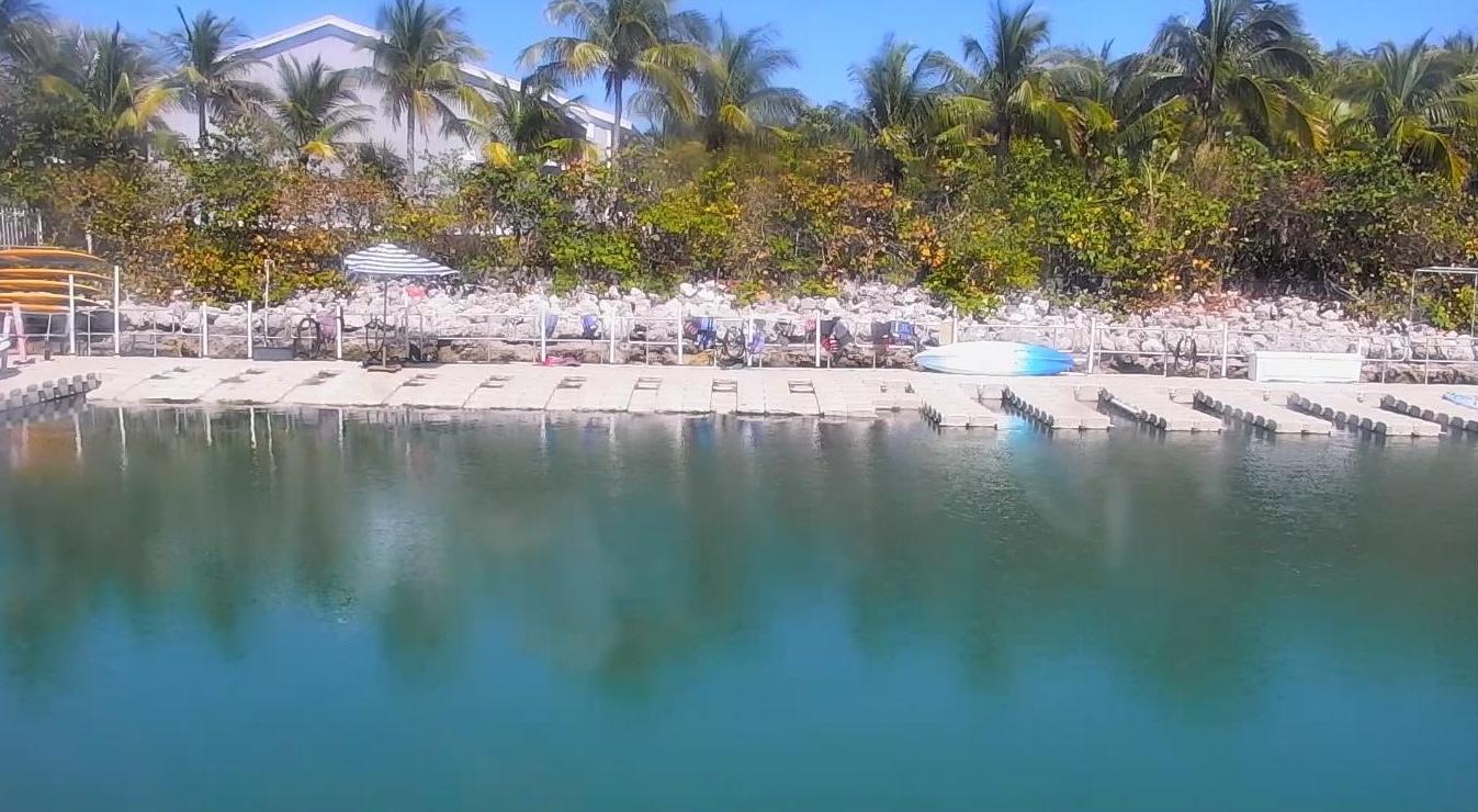 Beach resort with palm trees, sun loungers, and calm, clear water.