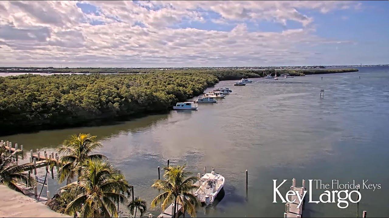 Coastal view with boats, palm trees, and cloudy sky.