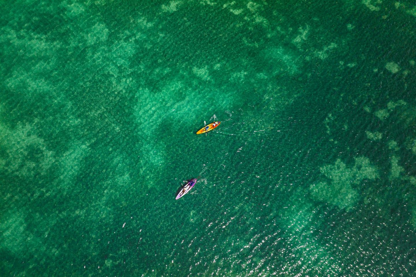 Two kayaks paddling on clear green water.