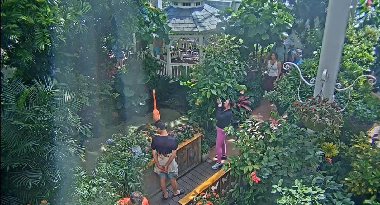 Lush tropical garden with people walking on a wooden path.