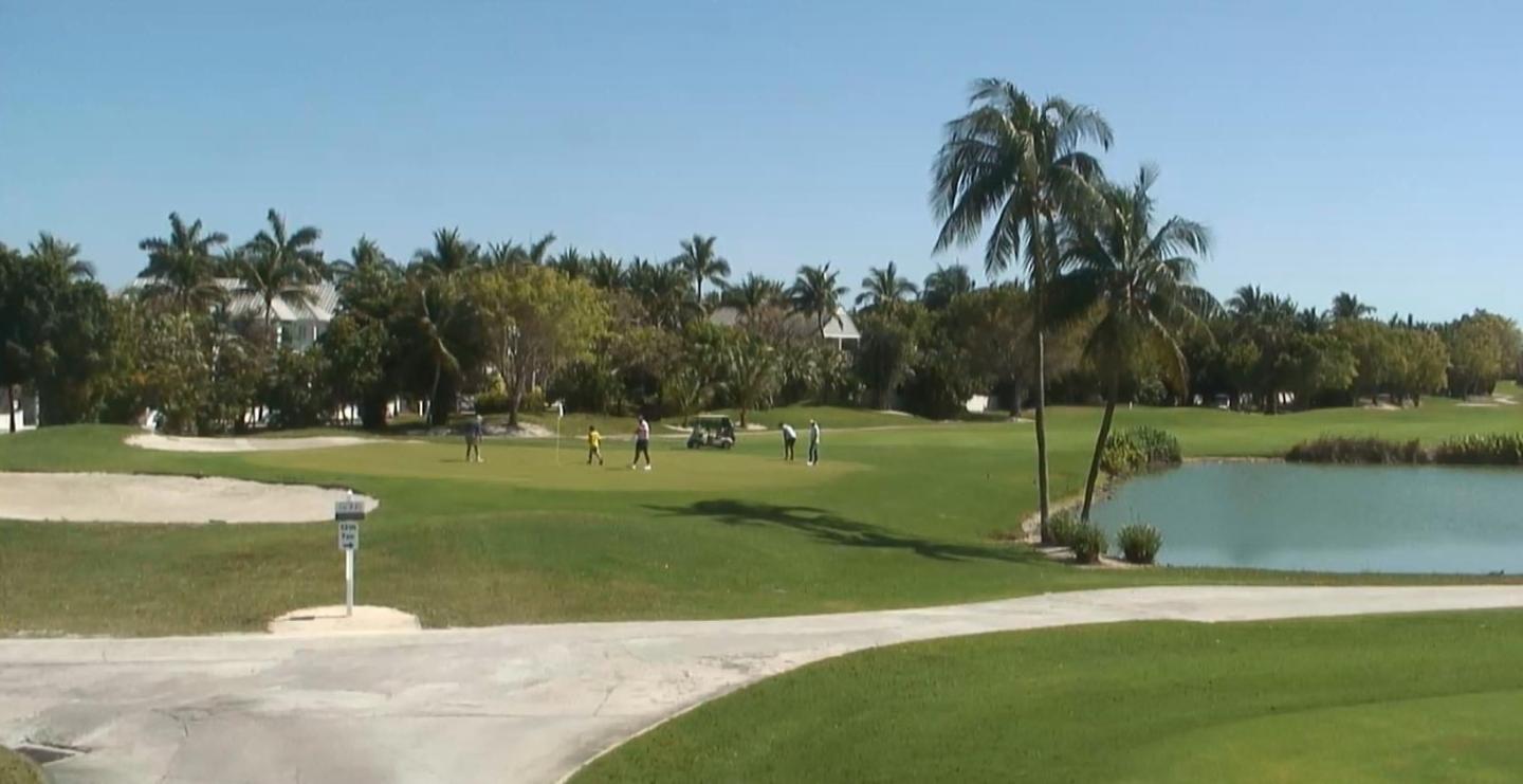 Golf course with palm trees and a pond under a clear blue sky.