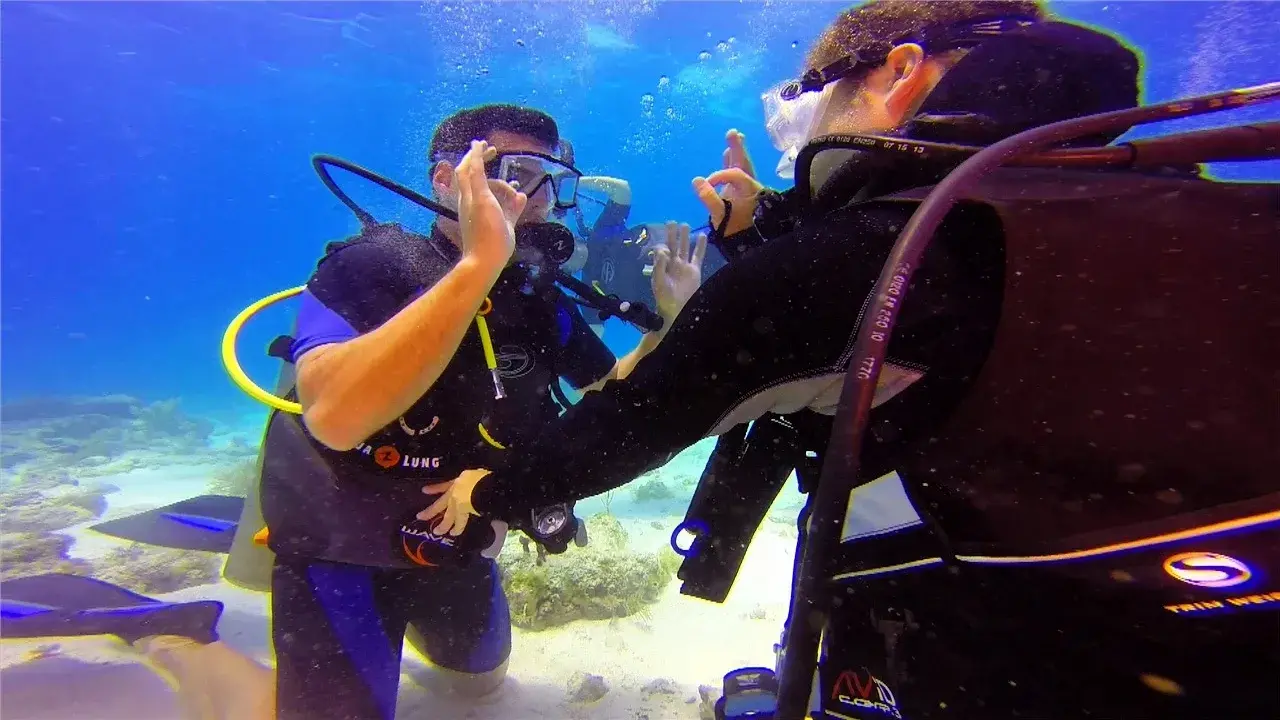 Two scuba divers communicating underwater.