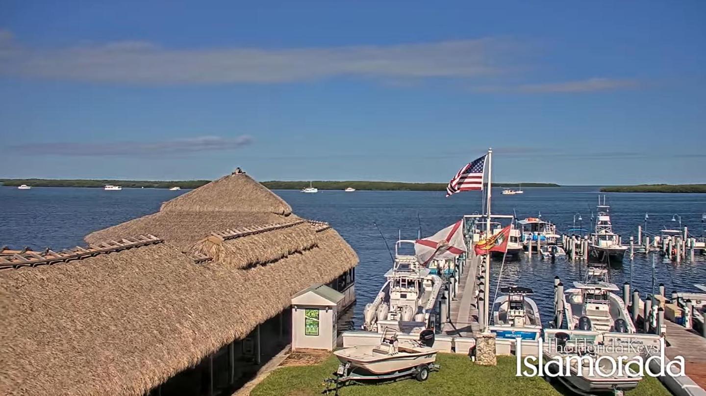 Thatch-roof building by marina with boats and flags under blue sky.