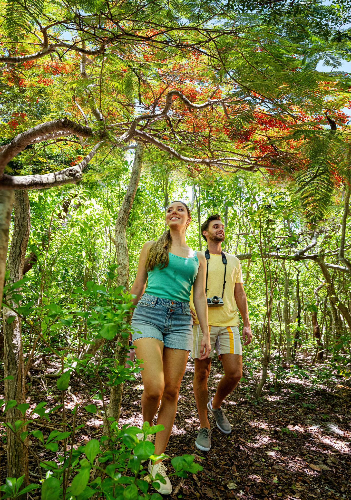 Two people walking in a lush forest, with sunlight filtering through the trees.