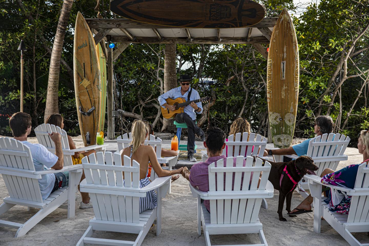 Outdoor group watching guitarist perform under wooden pergola with surfboards.