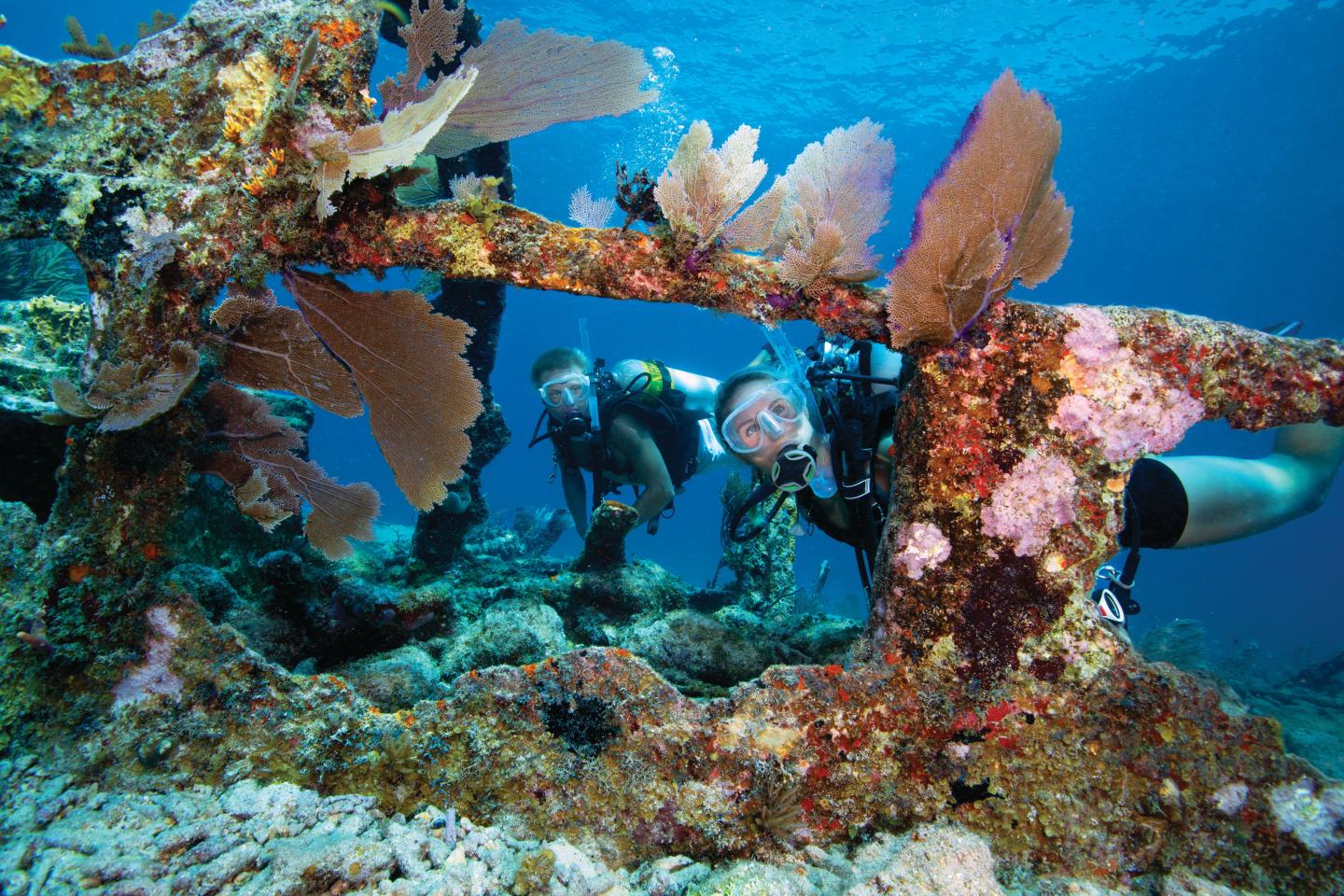 Scuba divers explore a colorful coral reef underwater.