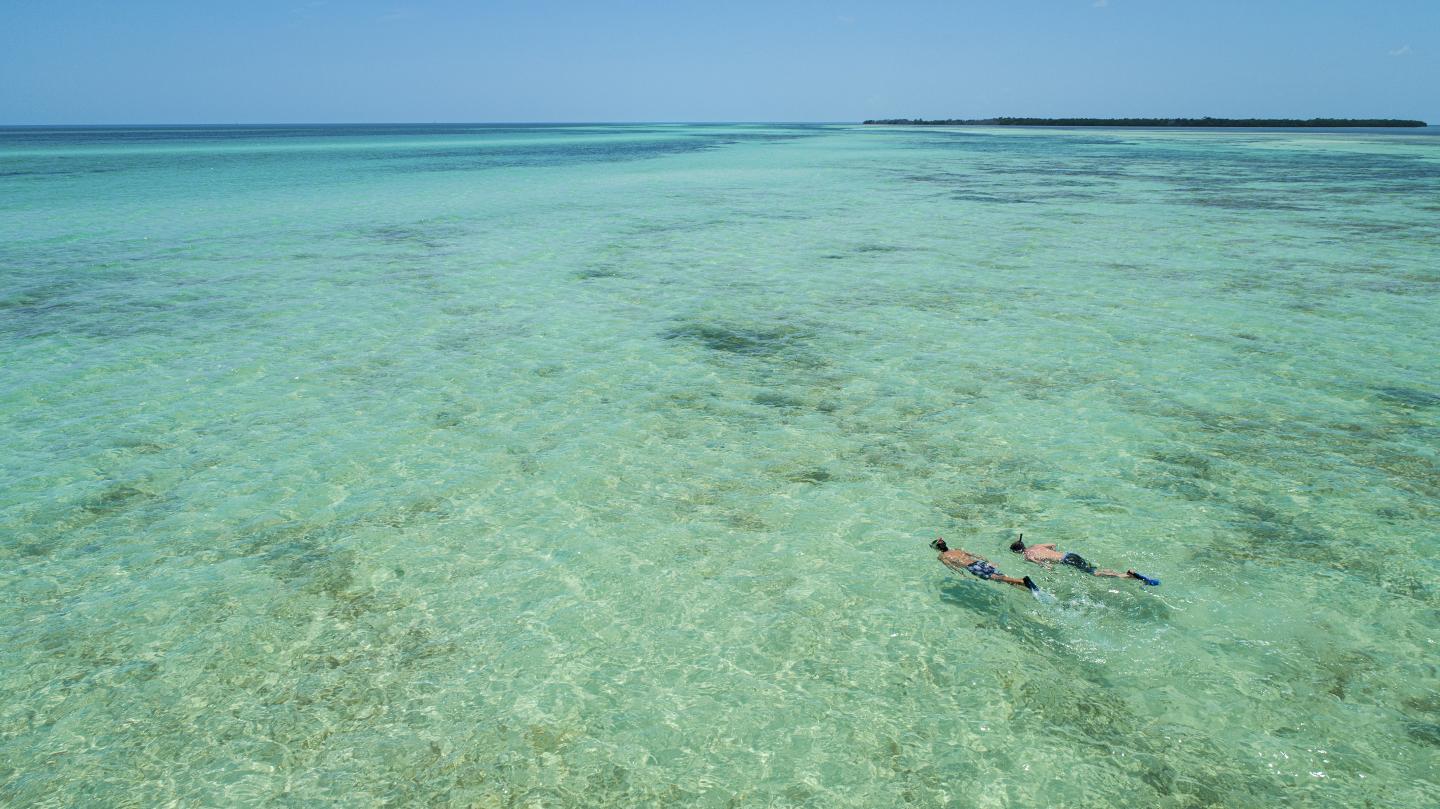 Snorkelers floating in clear turquoise ocean under a blue sky.