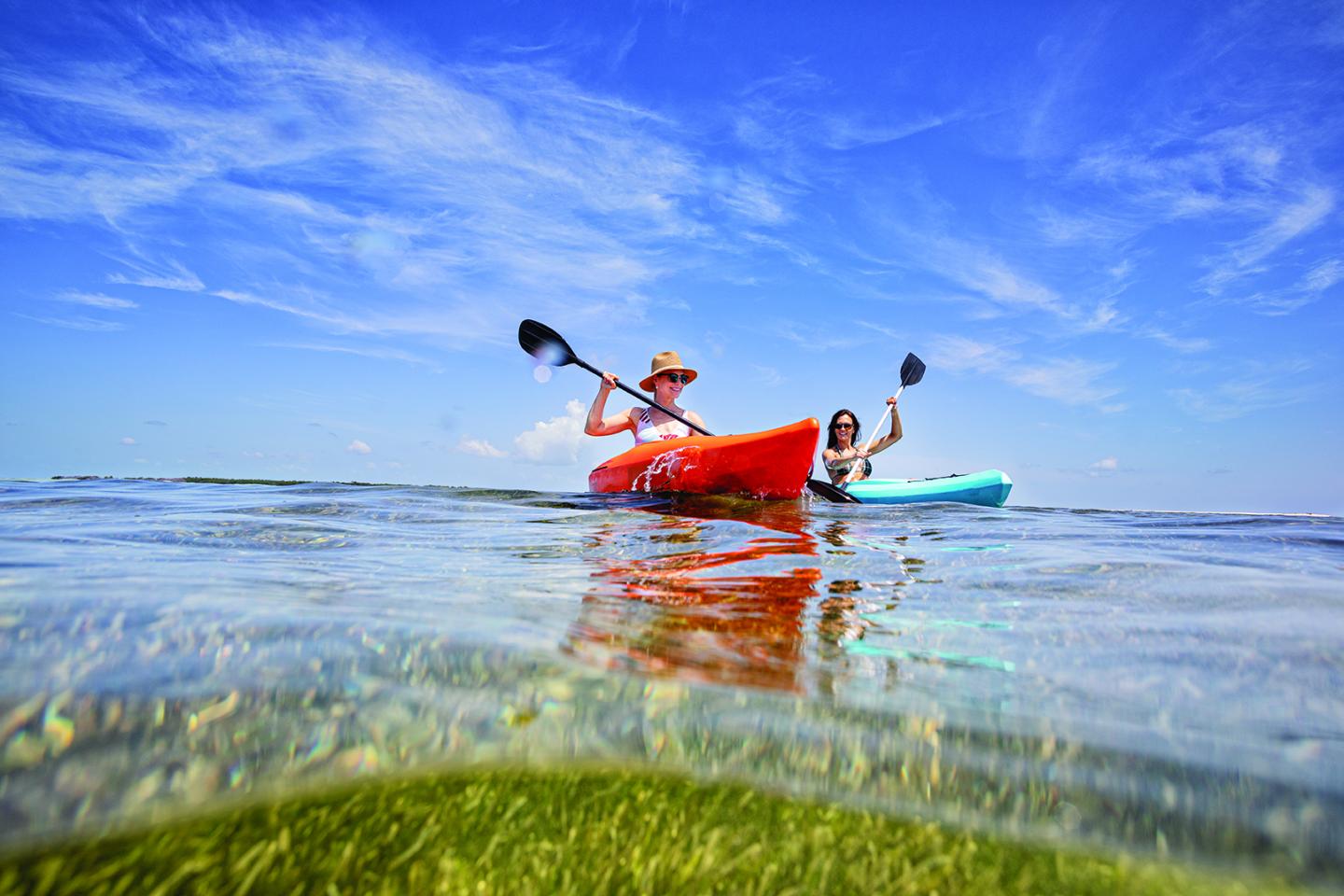 Two people kayaking on clear water under a bright blue sky.