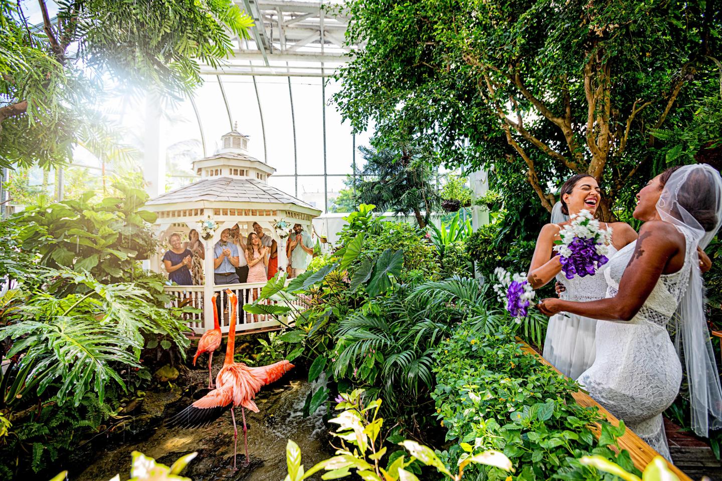Two brides laugh in a lush greenhouse by flamingos and a gazebo.