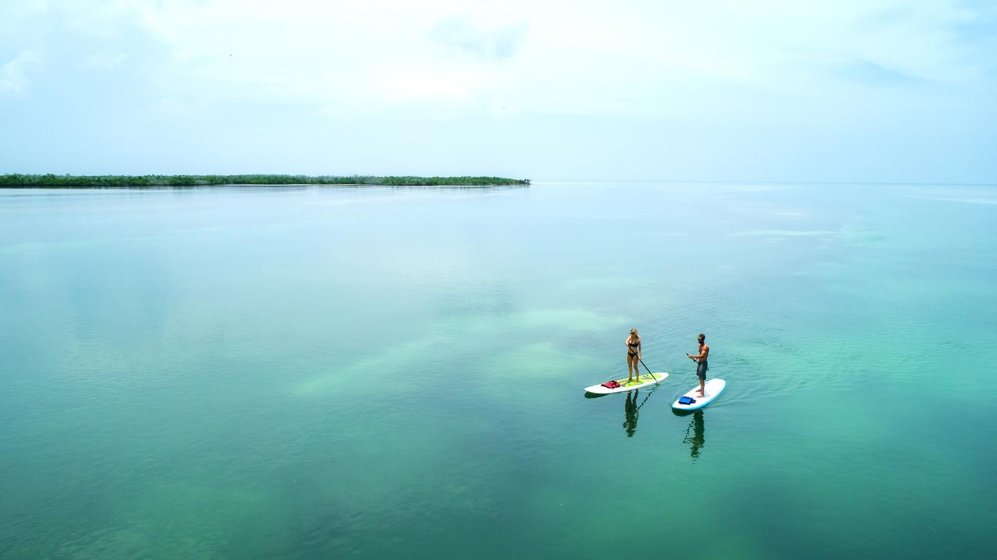 Two people paddleboarding on calm, turquoise water under a clear sky.
