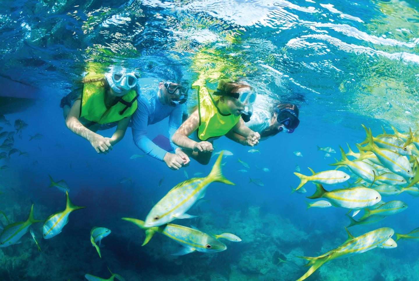 Three snorkelers underwater surrounded by yellow fish.