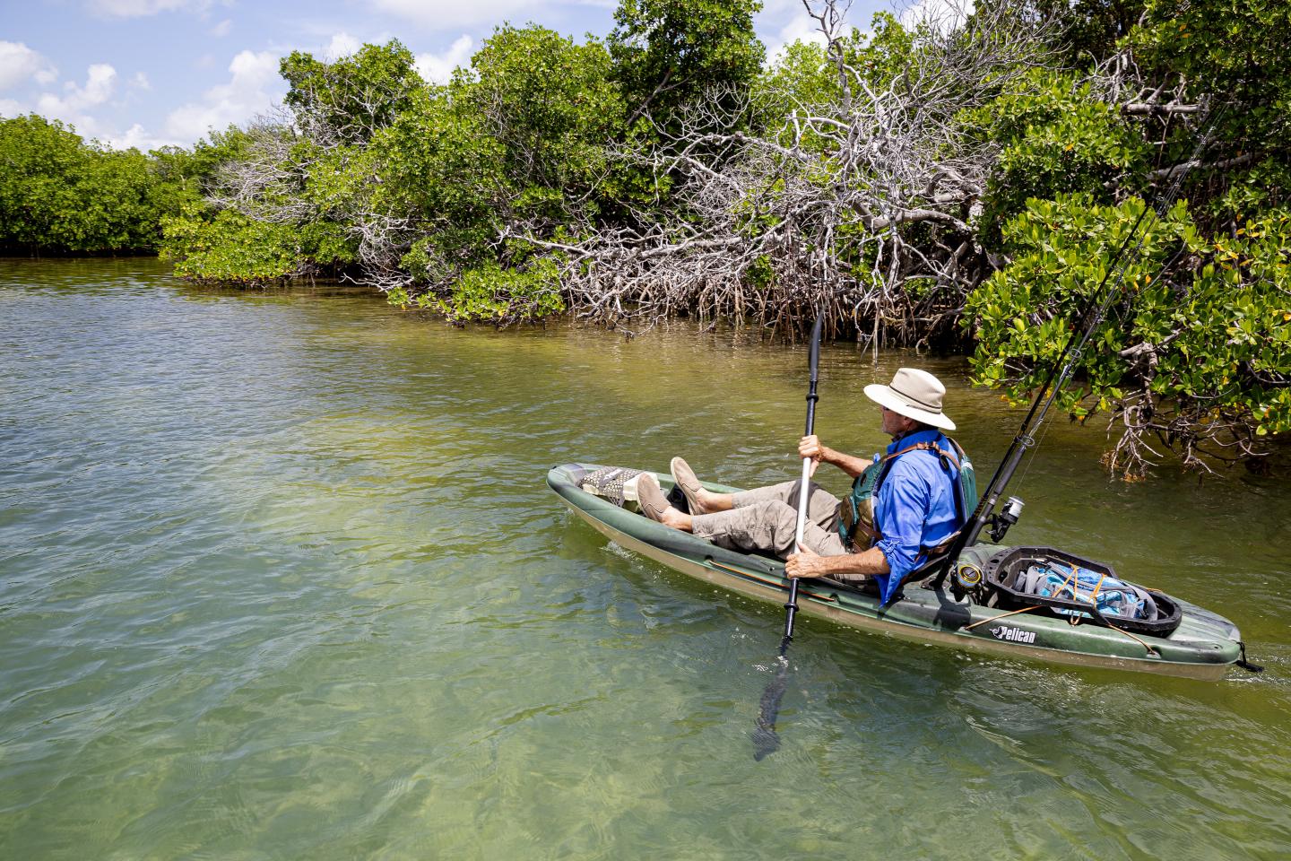 Man kayaking in a calm river, surrounded by lush green trees.
