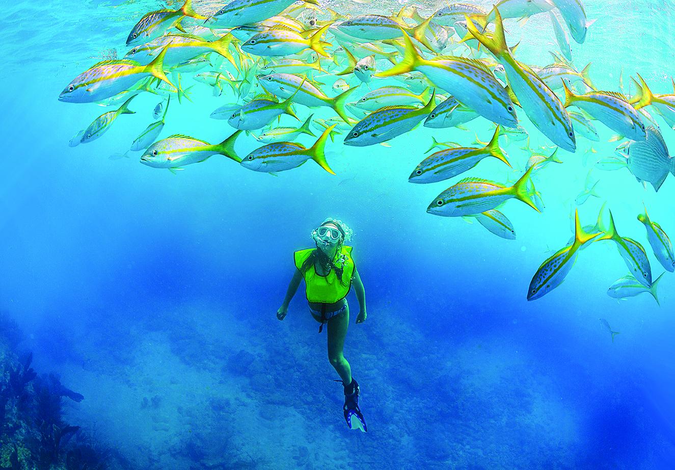 Snorkeler swimming beneath a school of fish in clear blue water.