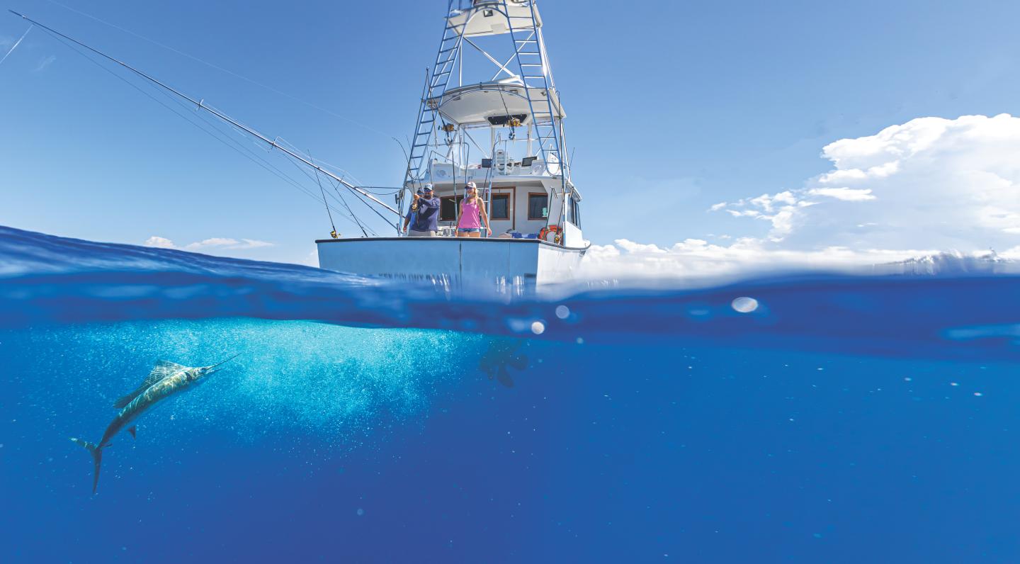 Fishing boat above water, marlin swimming underwater.