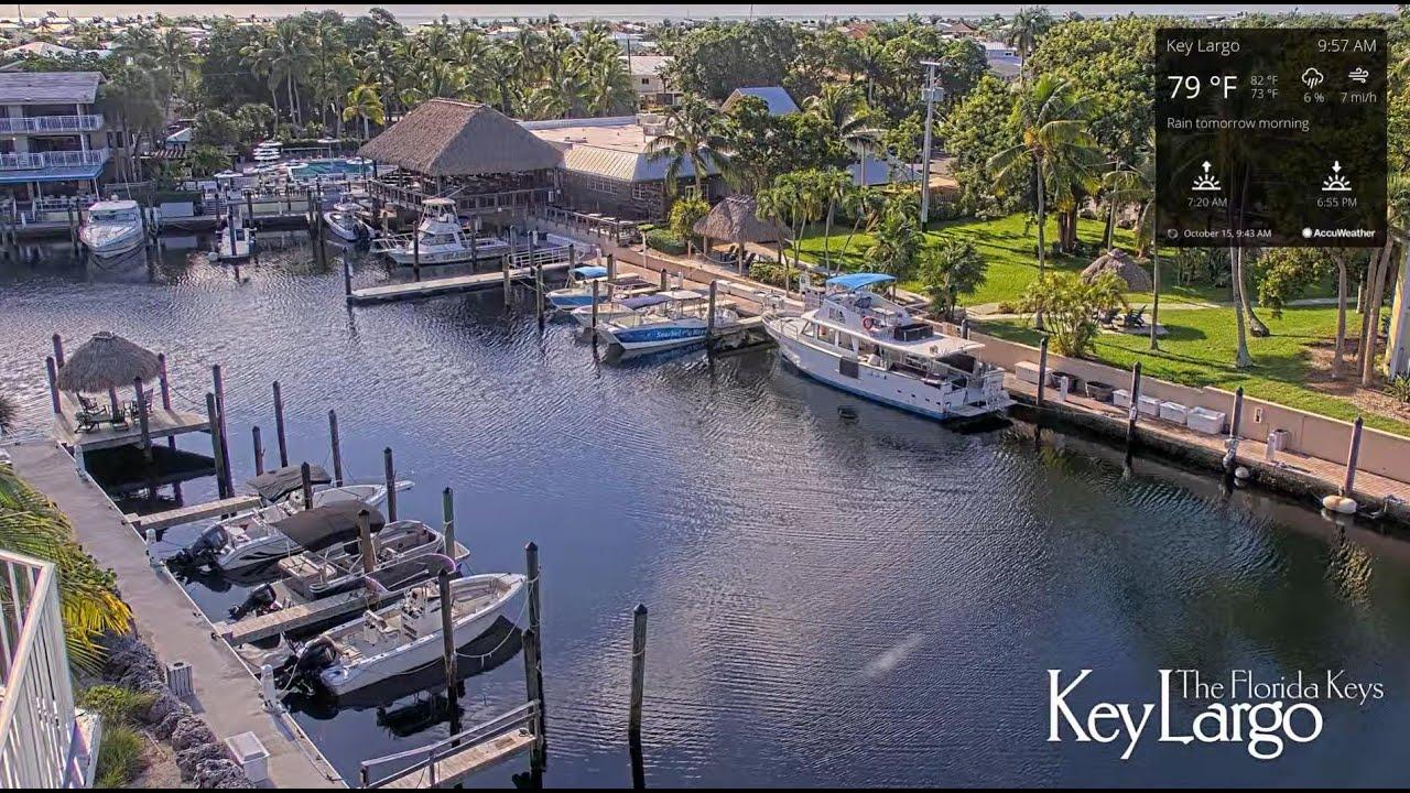 Marina with boats docked, surrounded by palm trees and buildings in sunny Key Largo.