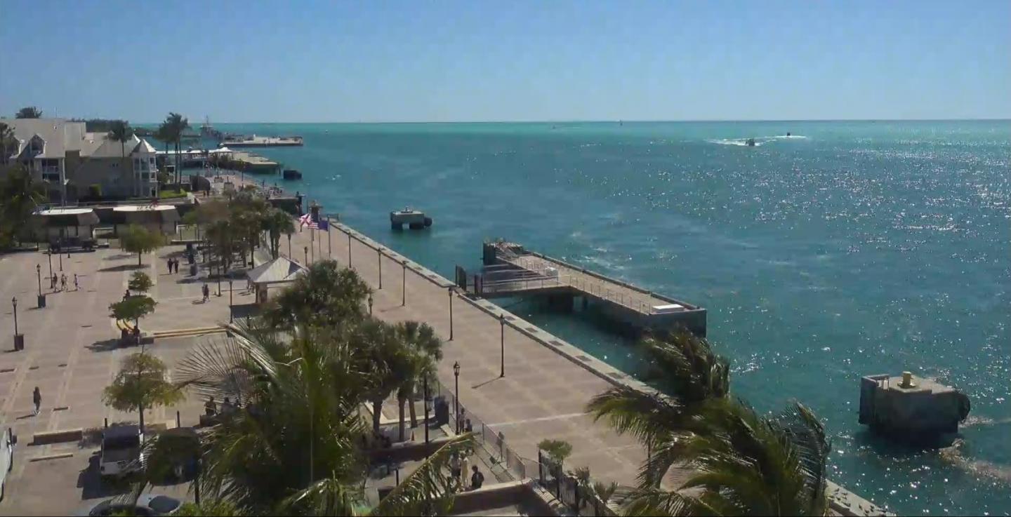Sunny coastal promenade with palm trees and a pier by turquoise sea.
