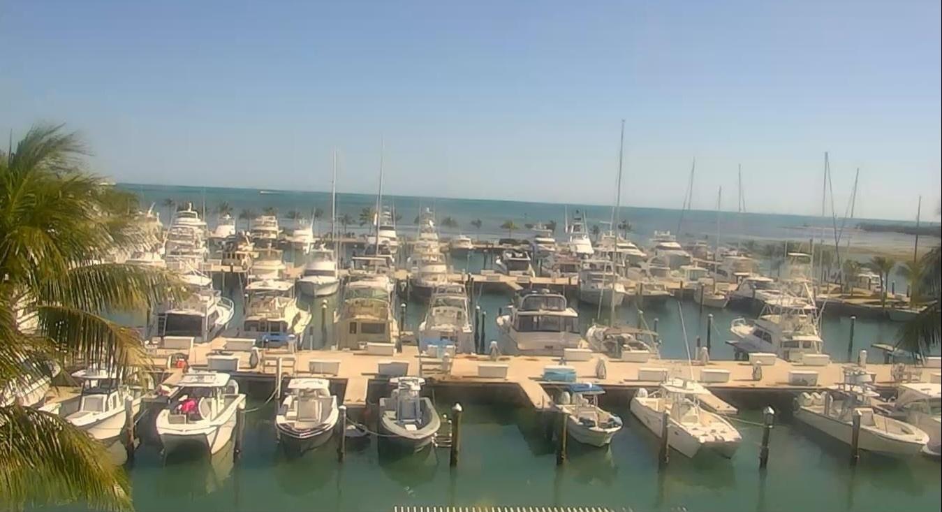 Marina filled with docked boats under a clear blue sky.