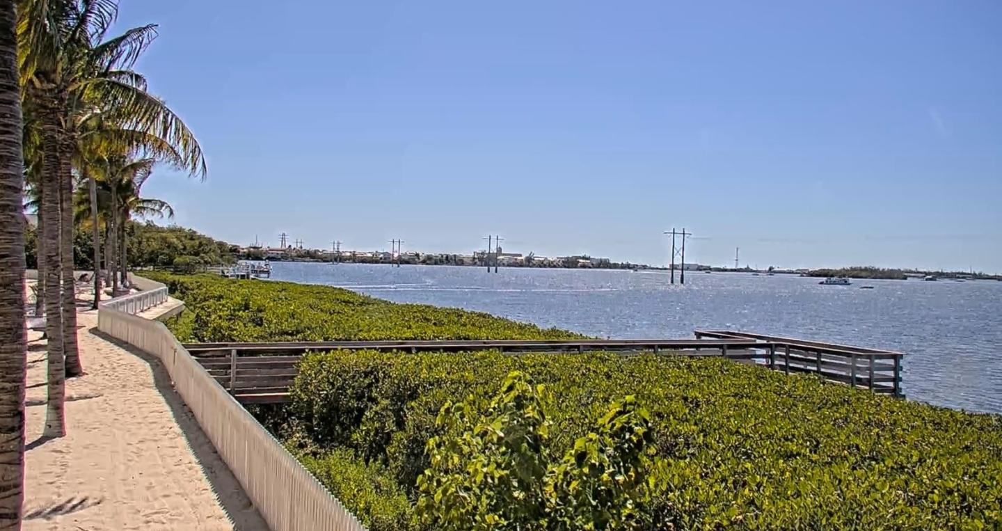 Coastal walkway with trees and blue sky. Wooden pier over water.