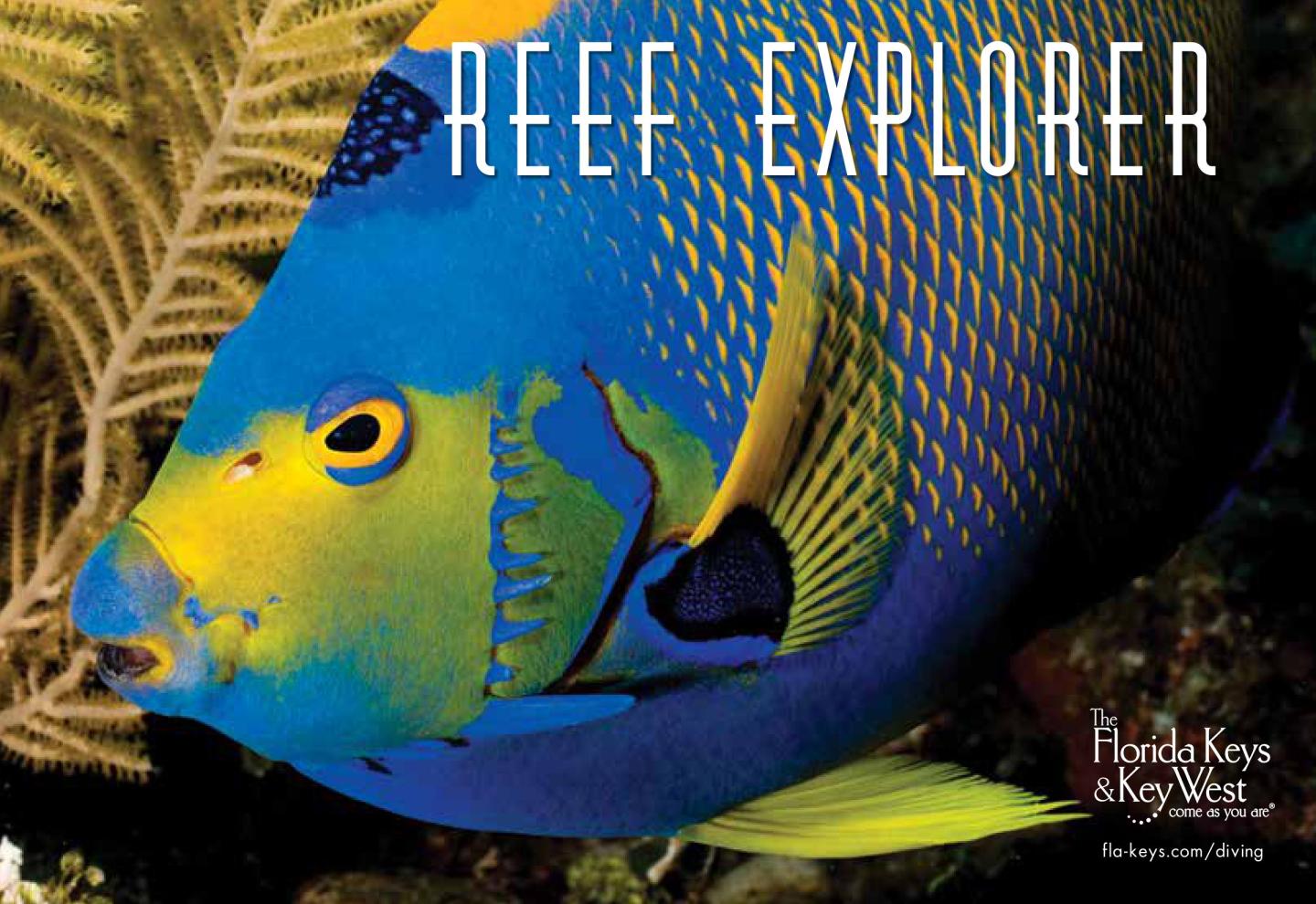 Colorful fish swims near reef, vibrant blues and yellows, promotional magazine cover photo.