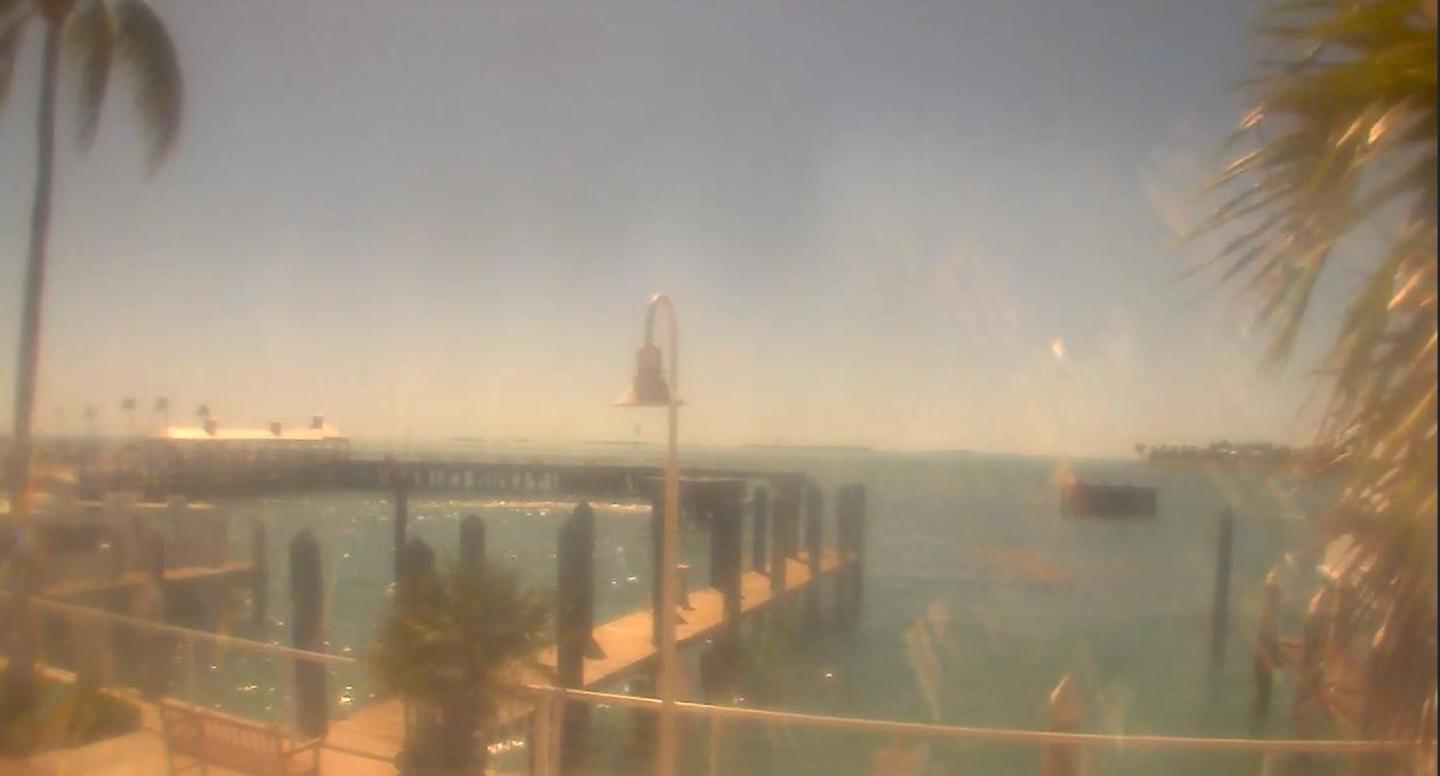 Blurry view of a pier and palm trees on a sunny day.