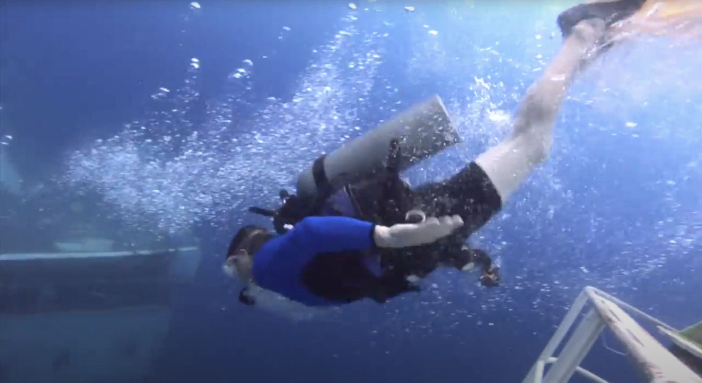 Scuba diver underwater near a shipwreck, releasing bubbles.