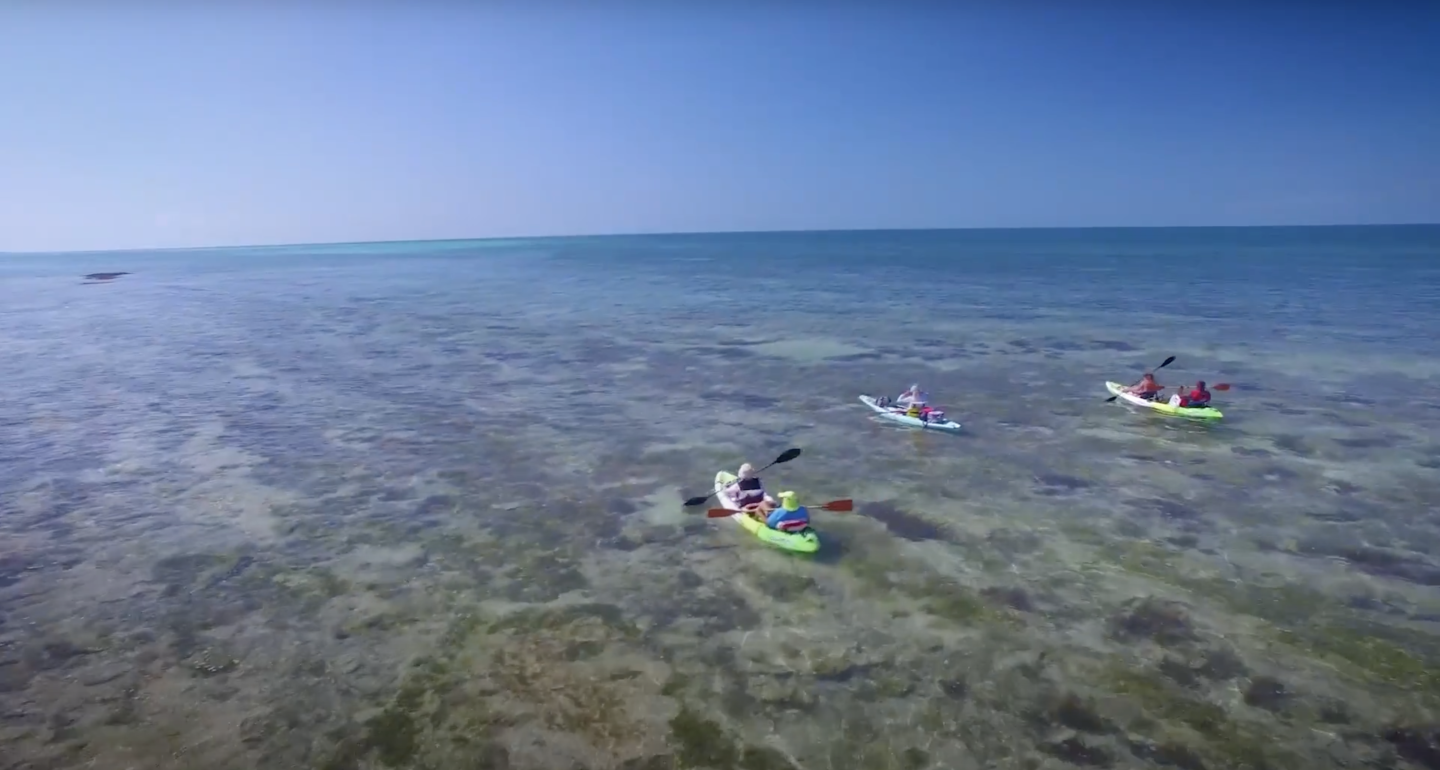 Kayakers paddling on clear, shallow ocean under a blue sky.