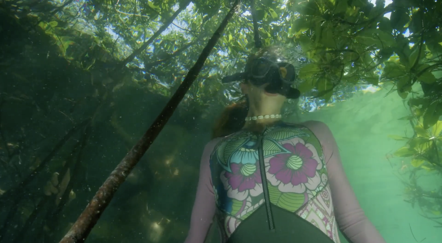 Underwater view of a diver with snorkel gear, surrounded by green and brown hues.