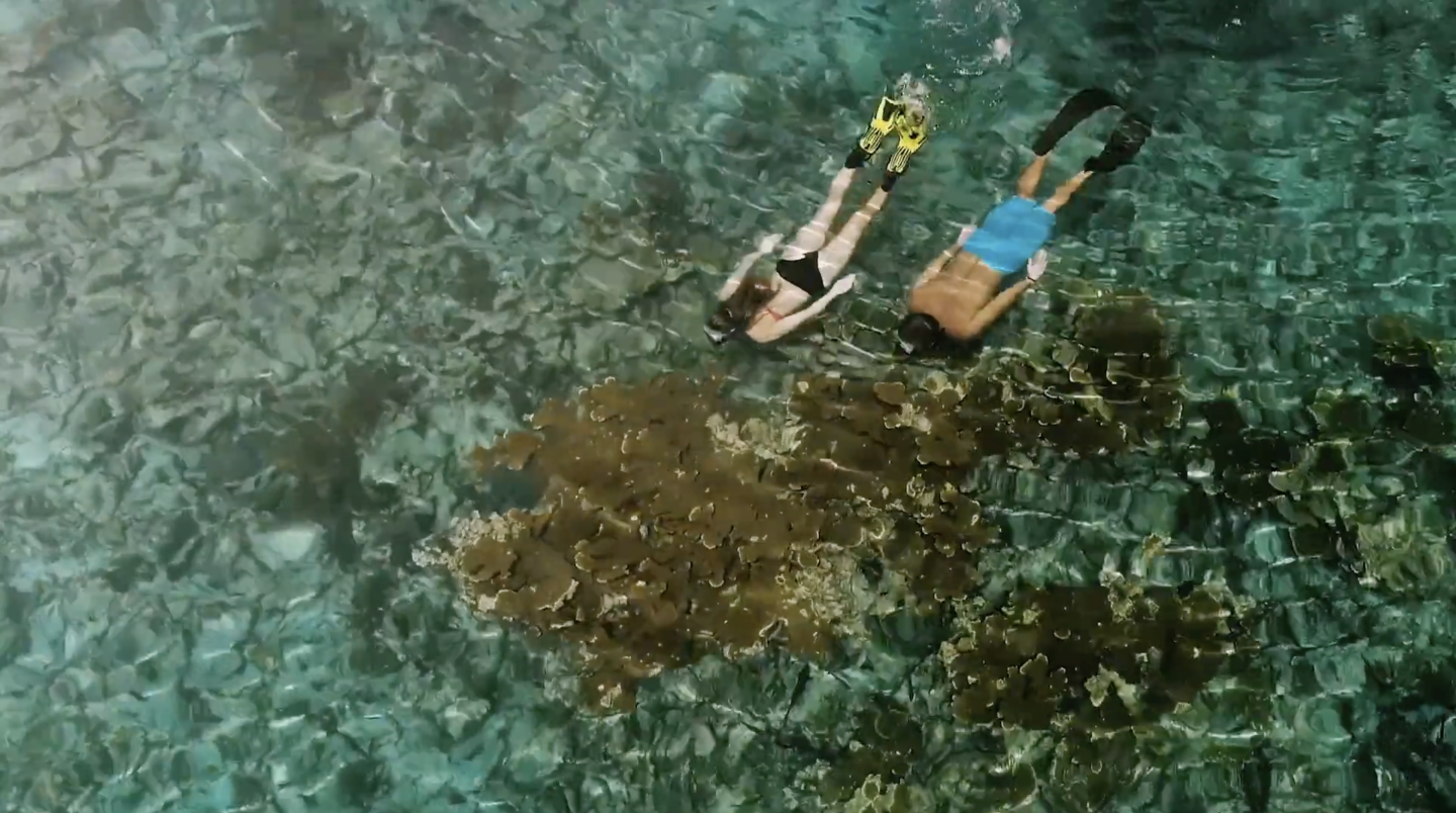 Snorkelers floating above a coral reef in clear blue water.