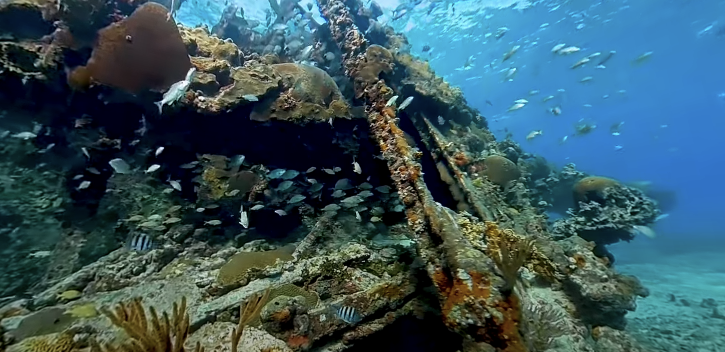 Underwater shipwreck with coral and fish swimming around.