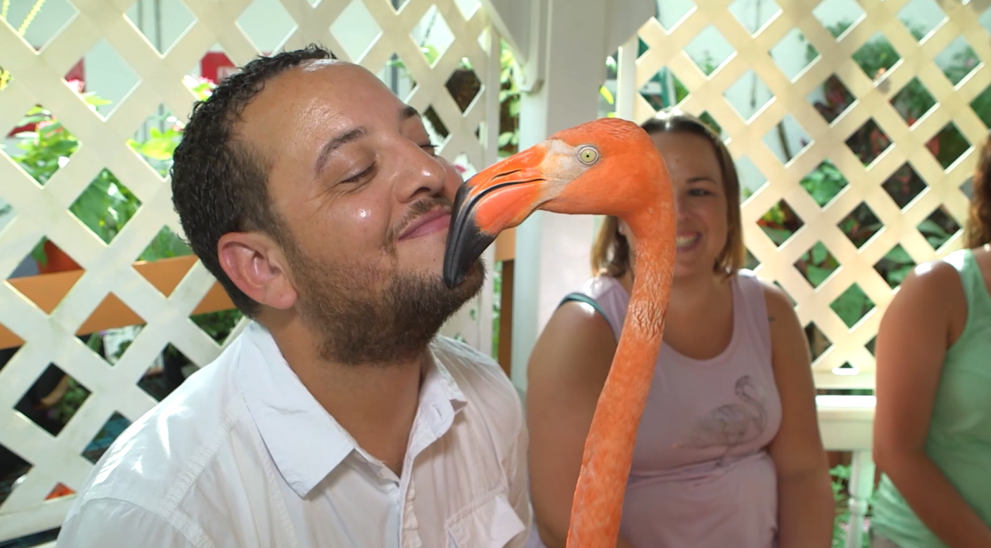 Man smiling with a flamingo touching his nose, others smiling in background.