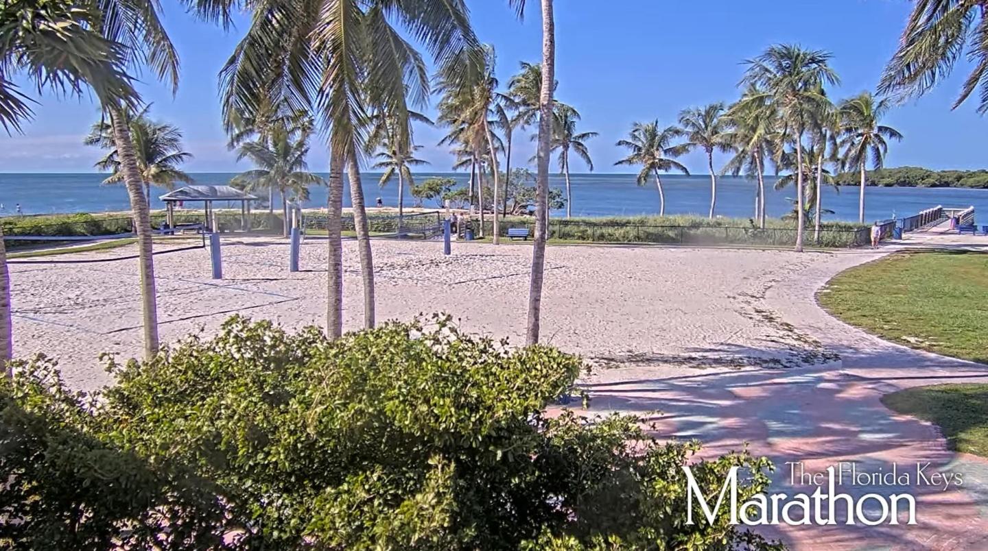 Tropical beach with palm trees, sand, and ocean in the background.