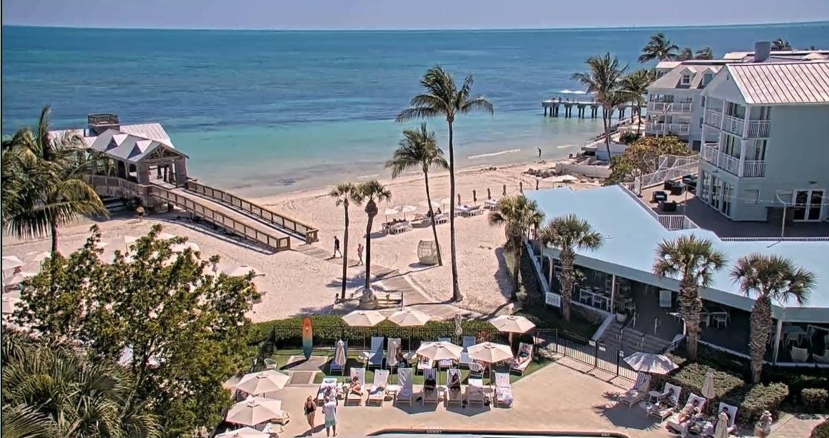 Beachside resort with palm trees, chairs, and distant ocean view.
