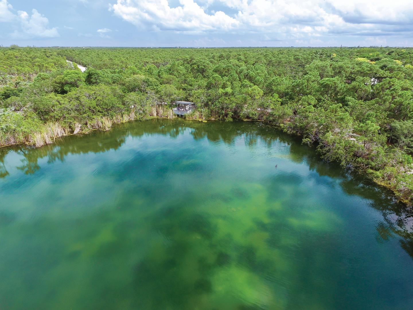 Circular freshwater pond surrounded by dense mangroves under a partly cloudy sky in Big Pine Key.