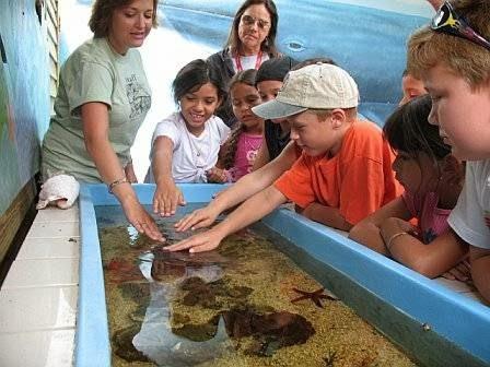Children explore a touch tank guided by an instructor.