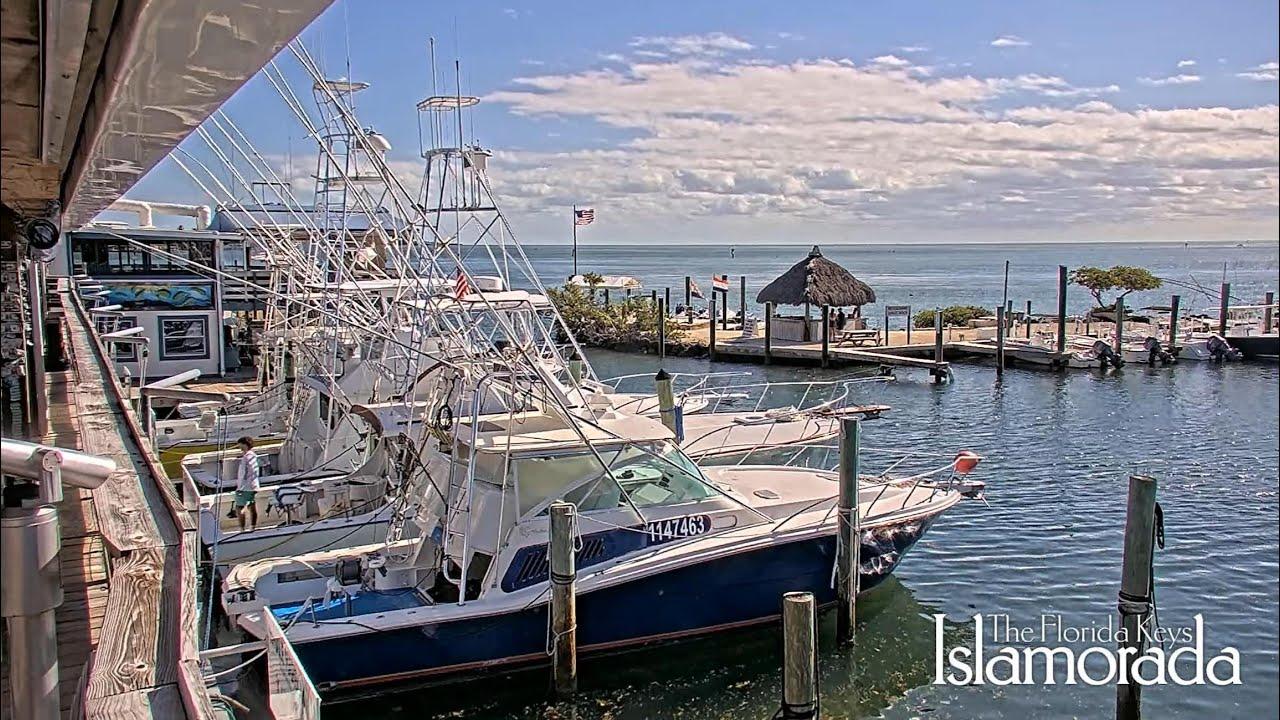 Boats docked at a marina under a sunny sky.