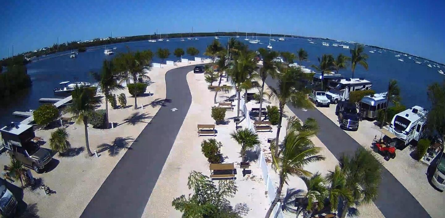 Palm-lined road by the ocean with parked RVs under a clear blue sky.