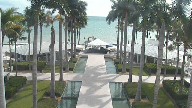 Palm tree-lined path leading to a beach with calm water.