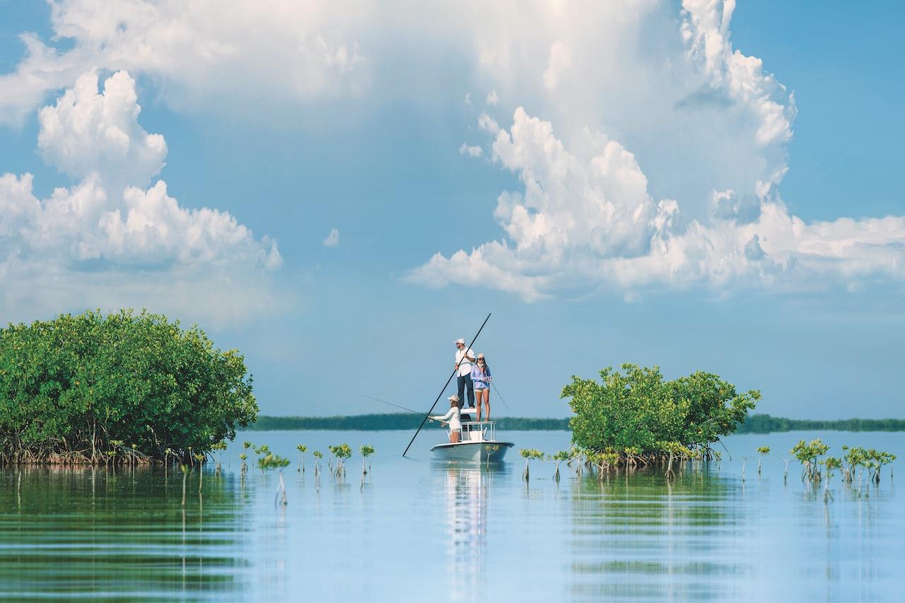 Person poling a flats boat on calm water, surrounded by lush mangroves, under a bright blue sky.