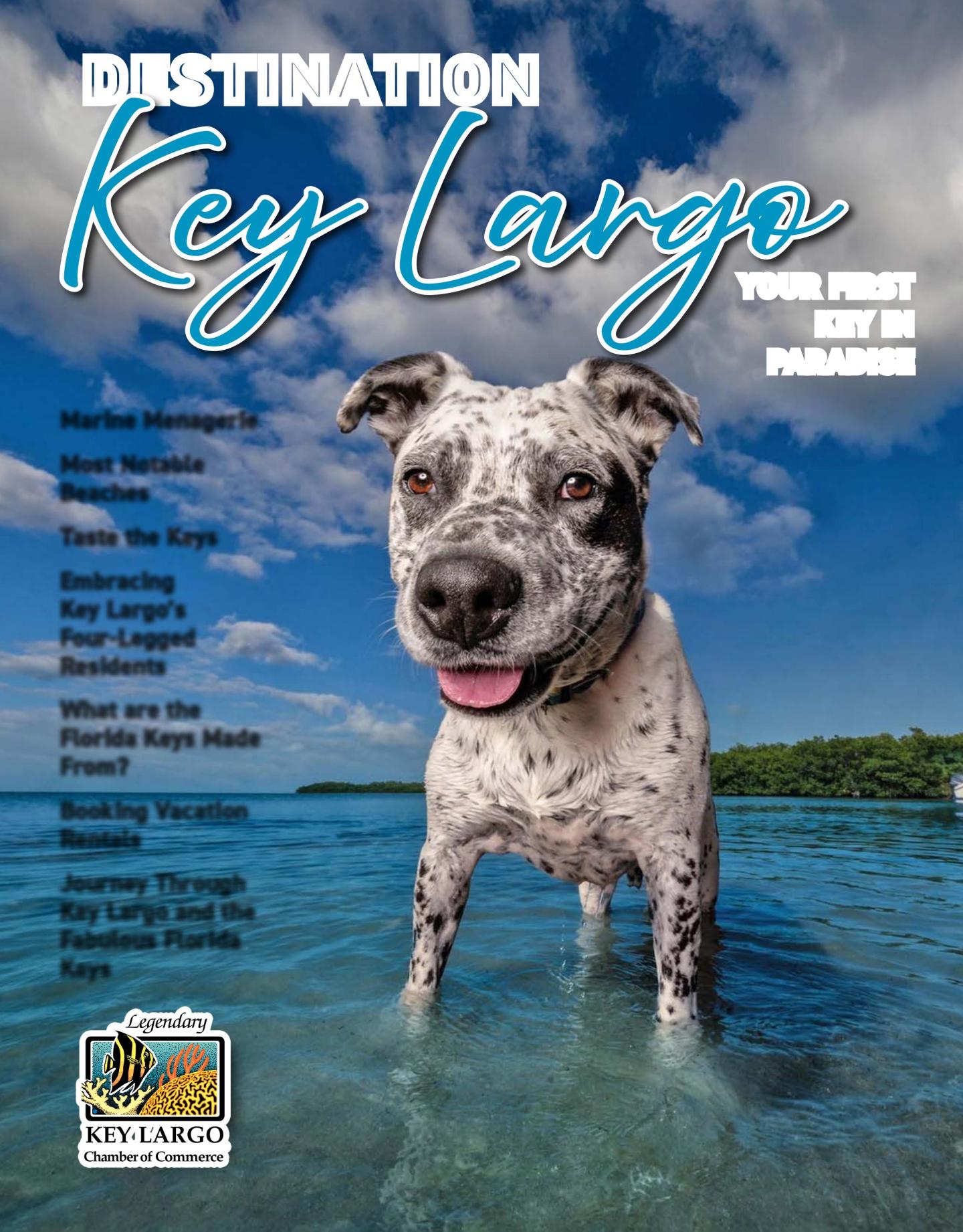 Dog standing in clear water under a blue sky with clouds.