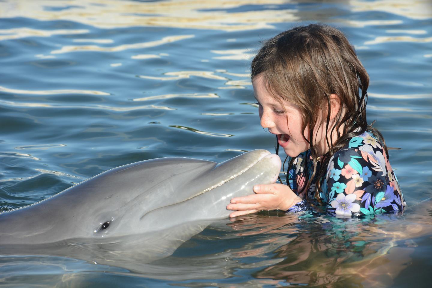 Child playing with dolphin in water, smiling brightly.