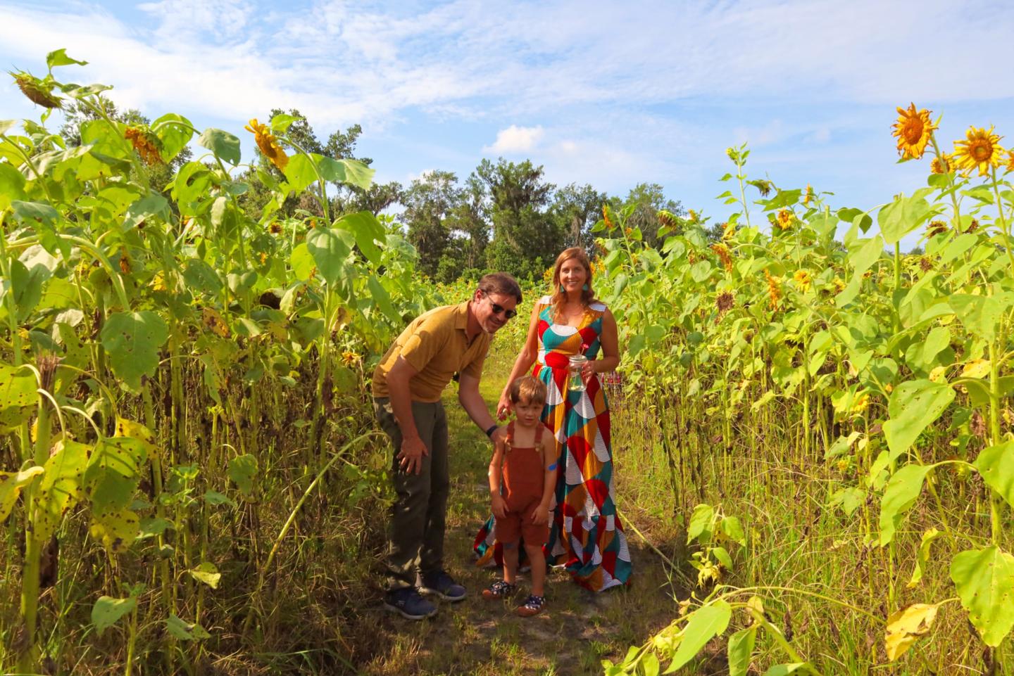 Family walking through a sunflower field on a sunny day.