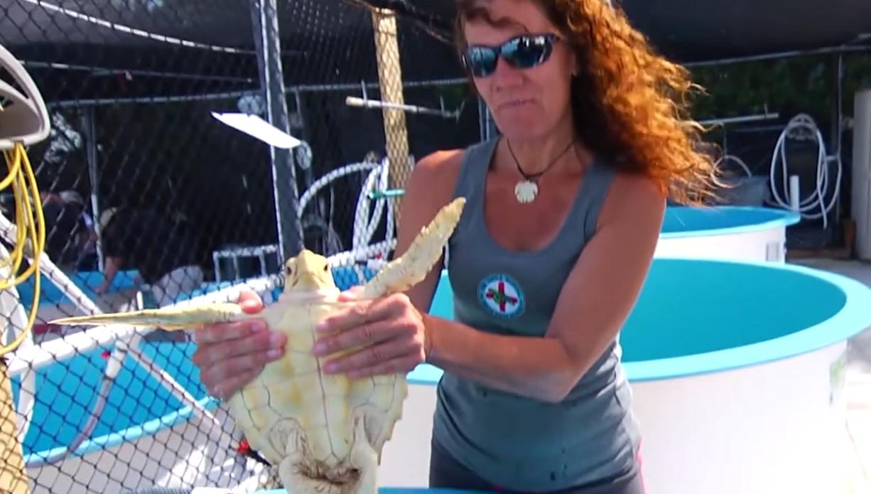 Woman holding a turtle near a blue tank, wearing sunglasses.