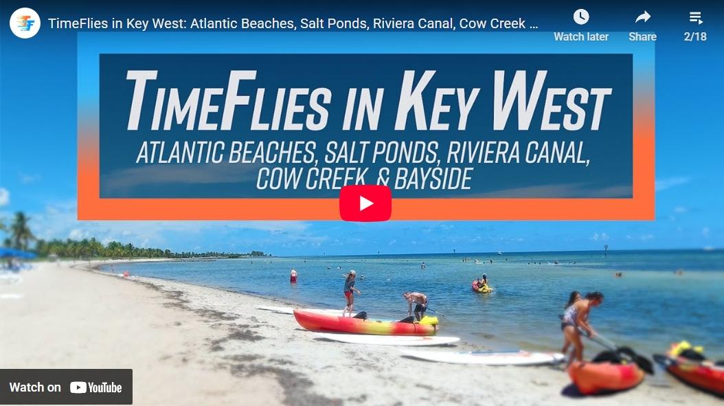 Beach scene with people kayaking and relaxing under a blue sky.